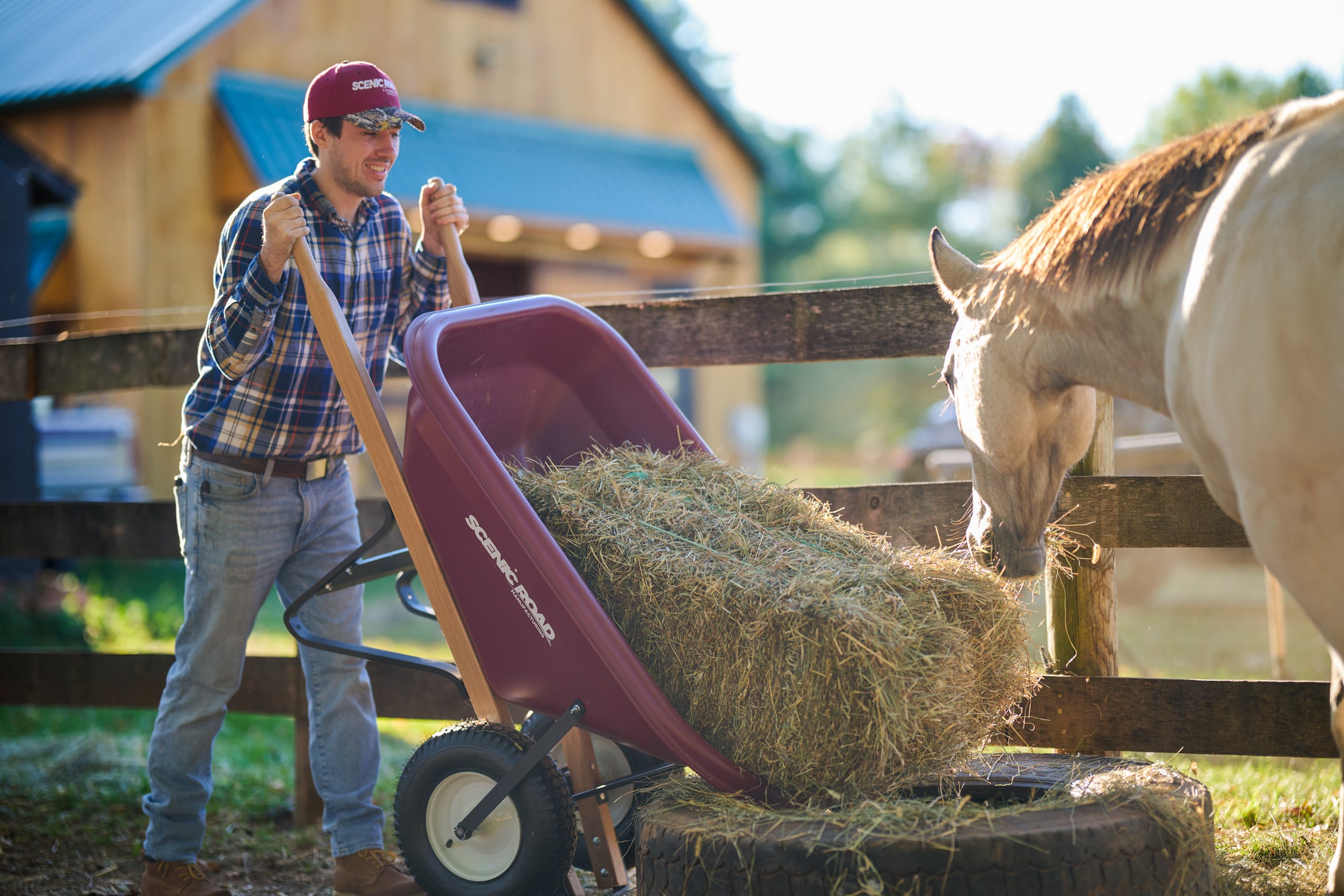 Scenic Road wheelbarrow feeding horse at barn