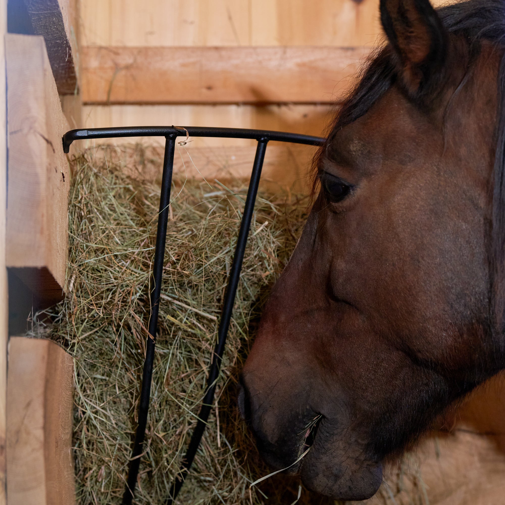 Scenic Road SRC1600 Large Corner Hay Rack - In Use