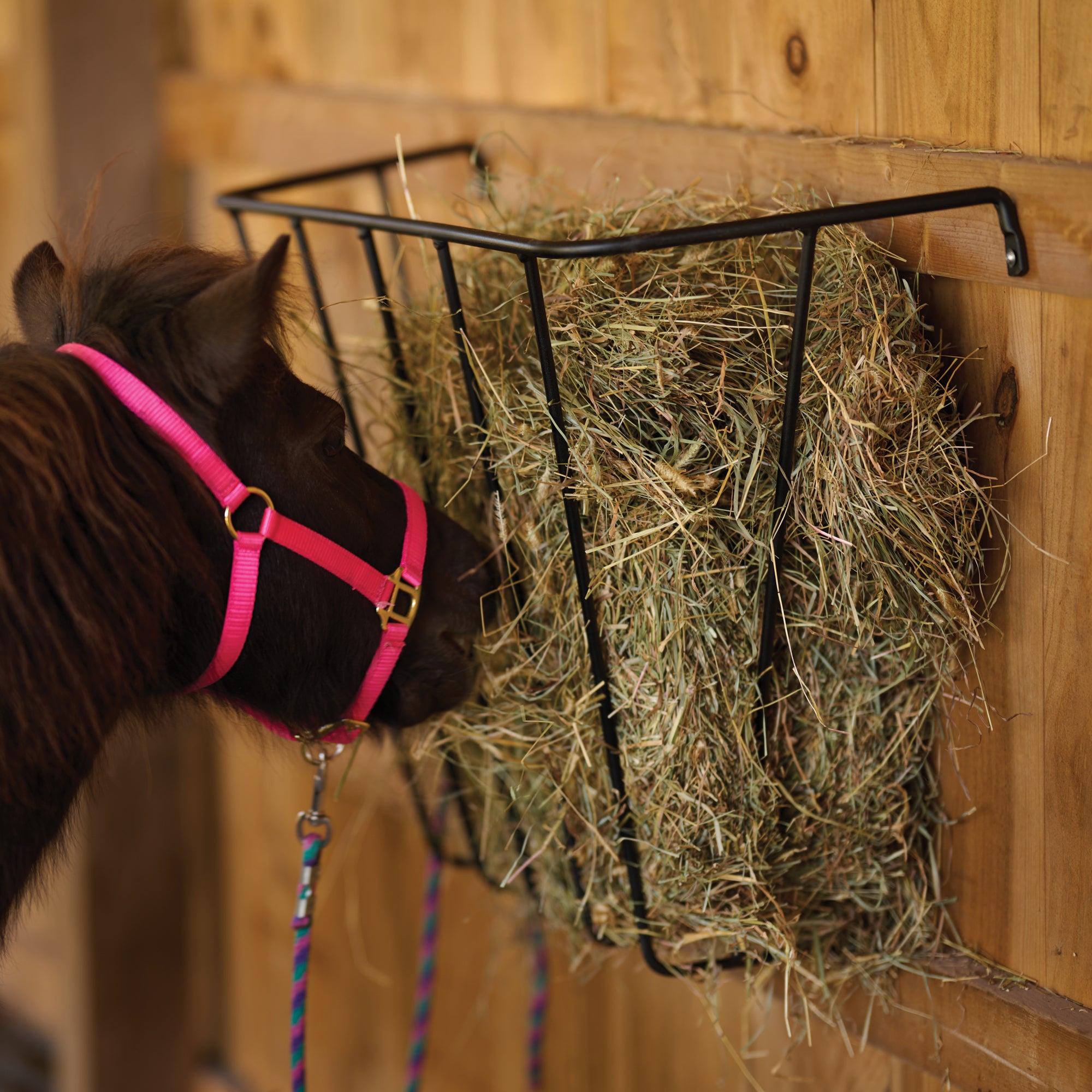 Scenic Road SRW1425 Wall Hay Rack - In Use